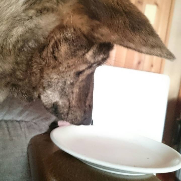 89d2acba 7be7 4927 8d57 41b1f1fc0afc