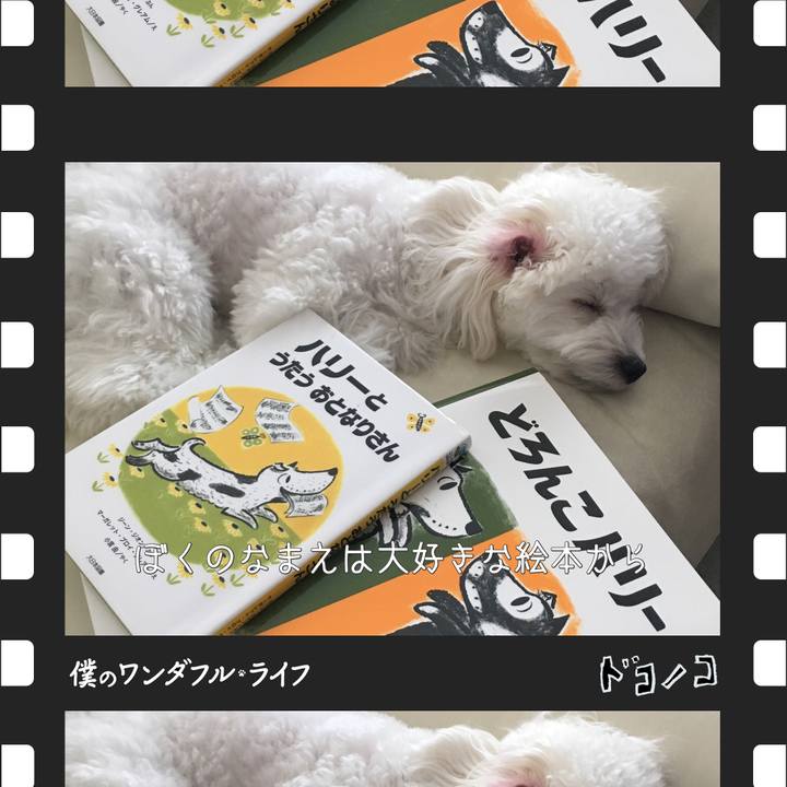 89d33760 c8c9 4516 95bb 9f8f0ac87875