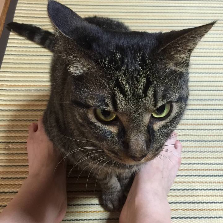 89d37d89 8640 48fc baea f596237c780f