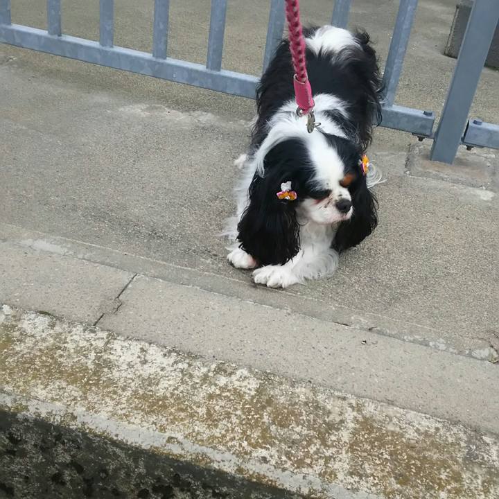 89d39aa2 bab5 460b acb7 6148f5e00241