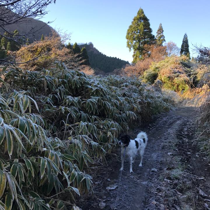 89d461a2 59db 4678 9999 9533178fa4d2