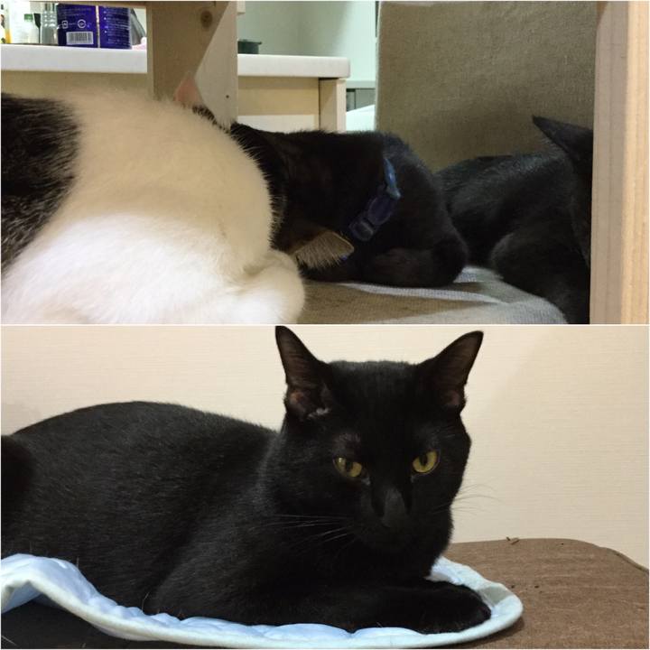 89d54a7e 456f 4779 a135 c5ee18b14ef1