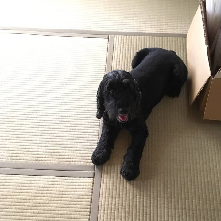 89d56de9 4f3b 4bd1 8ed4 9f3ba1b047b2