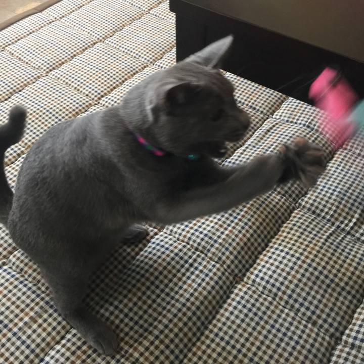 89d6926c 05a8 40b4 9f0b 731e4a8b0f1d