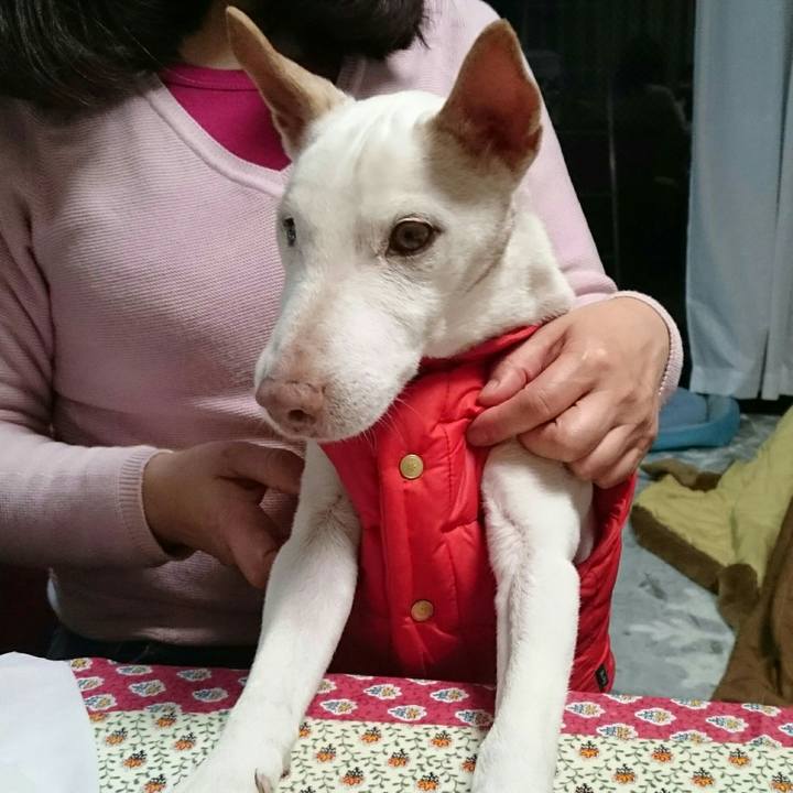 89d6a0ea 1b69 4254 9511 c624e2a4d98f