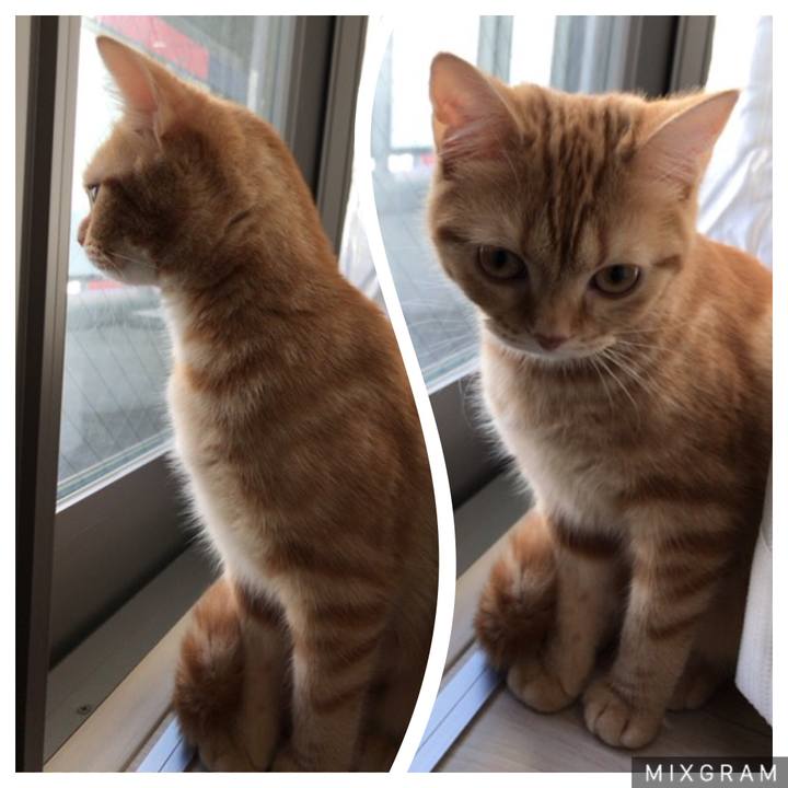 89d71709 c632 45f8 aa65 9540c48009c2