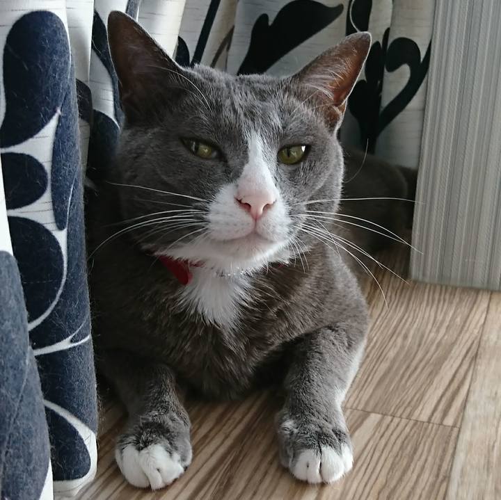 89d73930 6ac5 4149 b26e 94176a3cad69