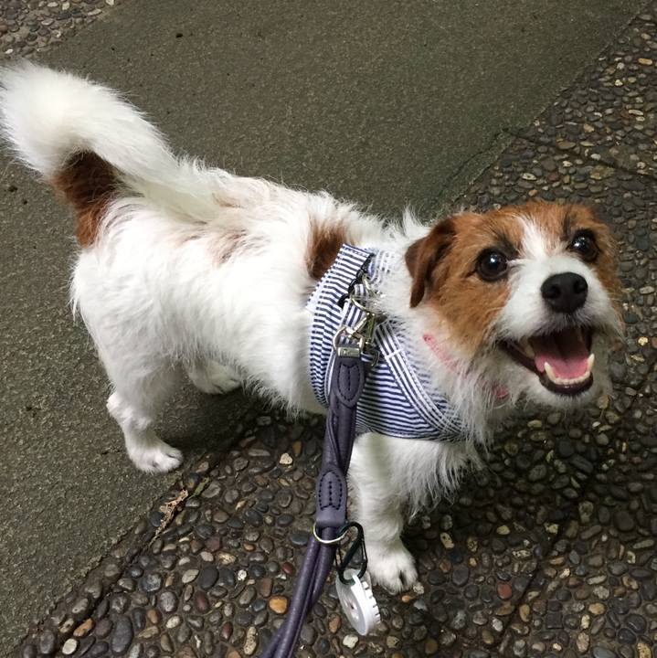 89d77662 0525 40f7 8745 7121ae2bc207