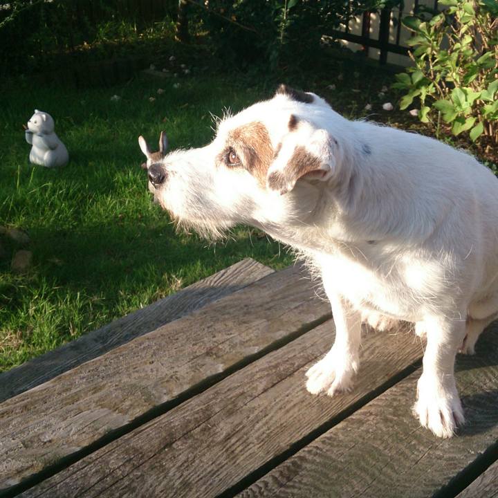 89d7dd7c 5ed3 4f24 b97a be7f254fc042