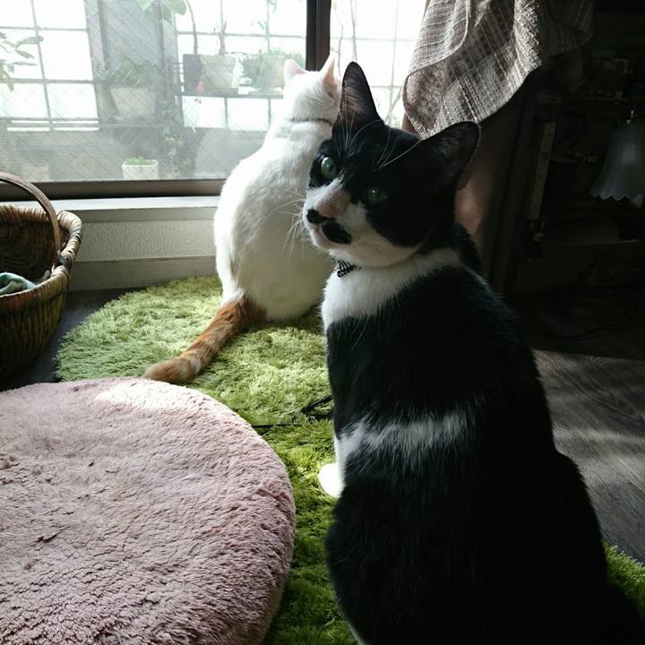 89d85659 3ccc 49fe b48b 55ad56dfd788