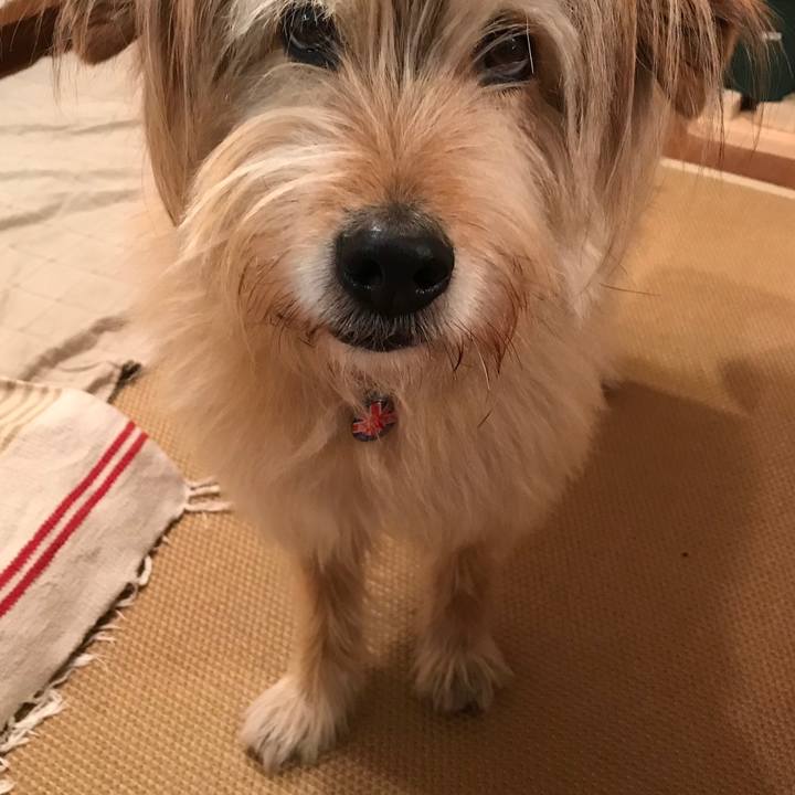 89d86147 b112 49bf 88d9 9521c79f0a5f