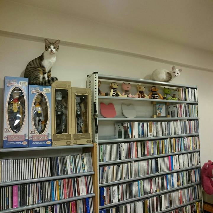 89d8caf2 c814 40e6 910e 72aa6ff552b4