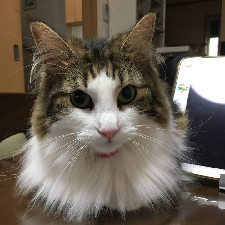 89d8e737 ed7b 443f 88db 2eeac65e236d