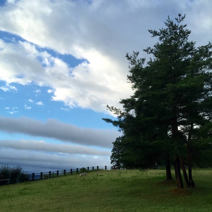 89d91329 dd1a 4243 afed 48f246f6c75f