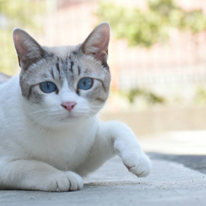 89db9478 ed21 4fb3 9a72 fa381536c6e0