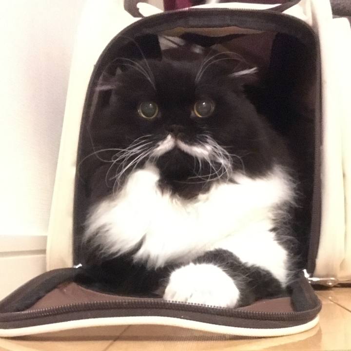 89dbbf4f 4c36 4f74 a755 04c0ddfd721a