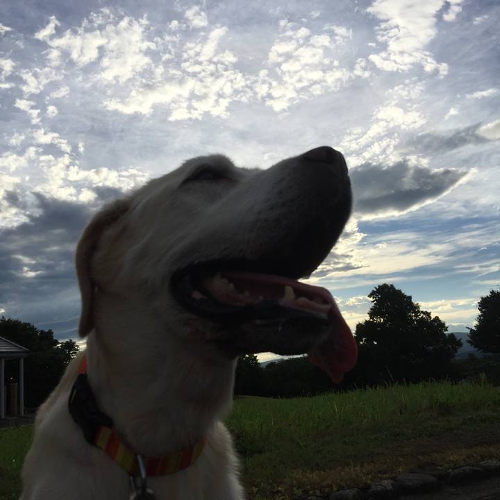 89dc2935 a86c 4fb9 a983 e4b2446fe433