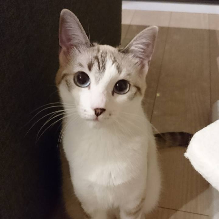 89dc47d7 9b9a 46e8 8b02 a1ebc928ea1f