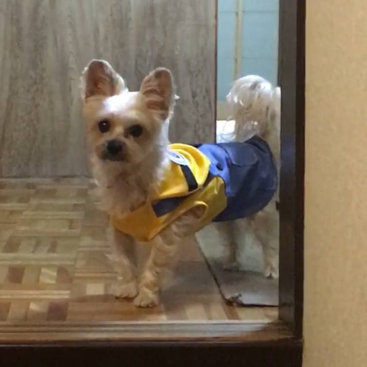 89dd621b 88f2 4523 9fe3 f5851a1987fb