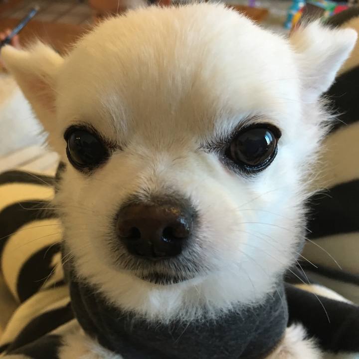 89dda01a bbeb 4f00 824d 1c4e45c419c4