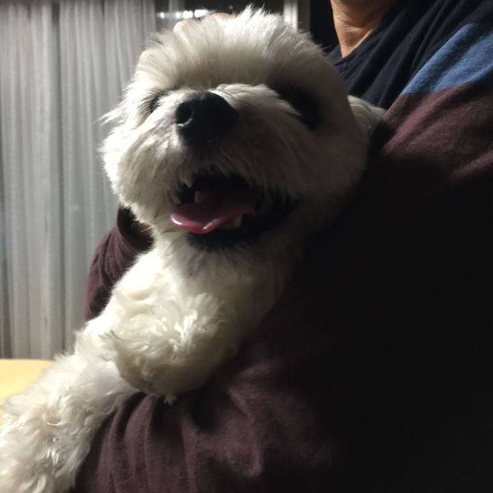 89ddd7b5 9e56 451a 8196 90931d6d8a34