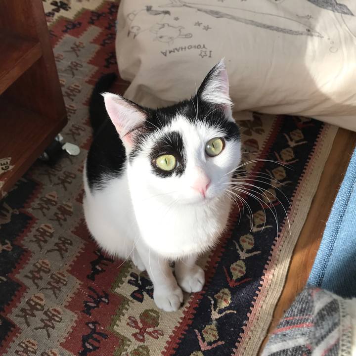 89de01d8 28d6 4e1d a3f9 ba42c850ef3d