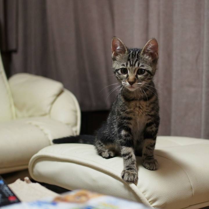 89de3bec 2aa3 4ece 9c9c d5d05e202ba3