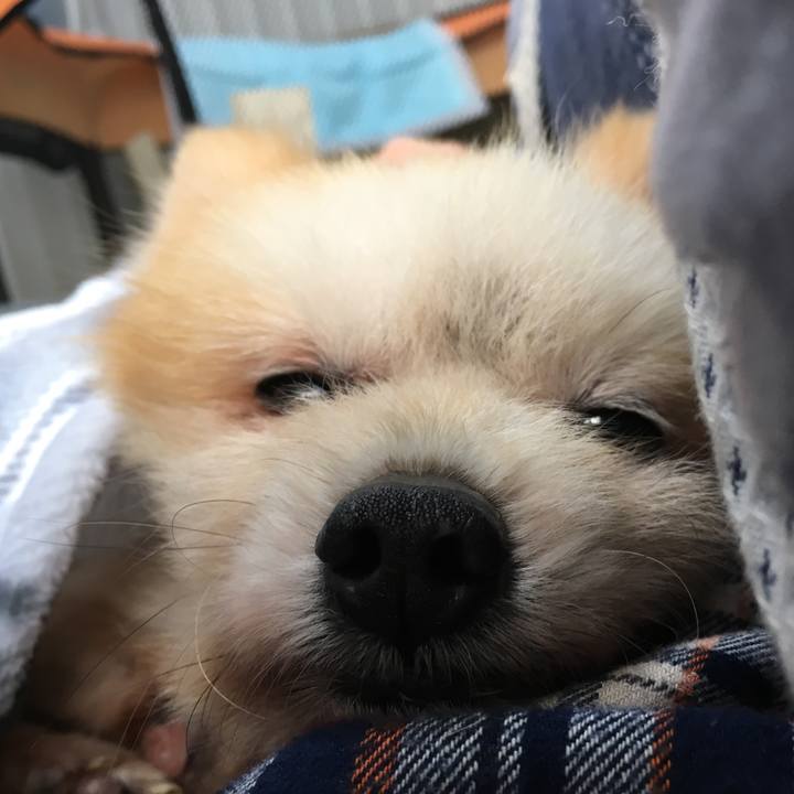 89deef34 ac64 451c a033 c12c3fecd175