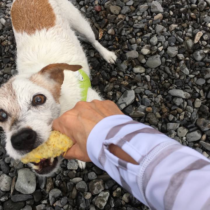 89df0a13 c4c1 4263 babc 02abb9851bf3