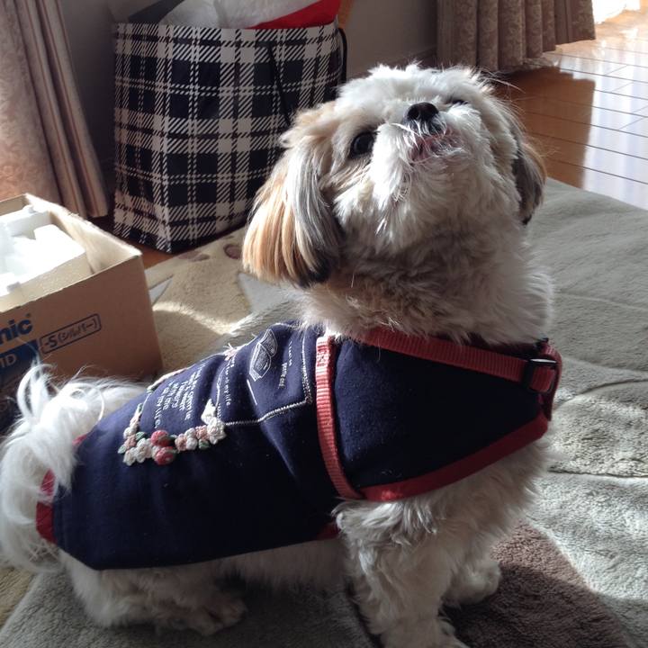 89df1436 6406 4a55 bd81 c4d4f37be07a