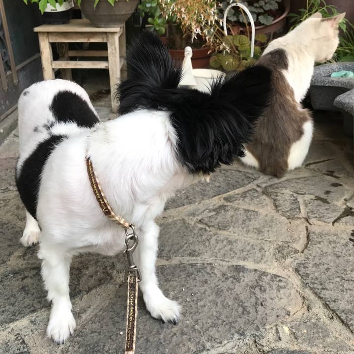 89df2fcc 5a7c 409b a890 37a067bac313