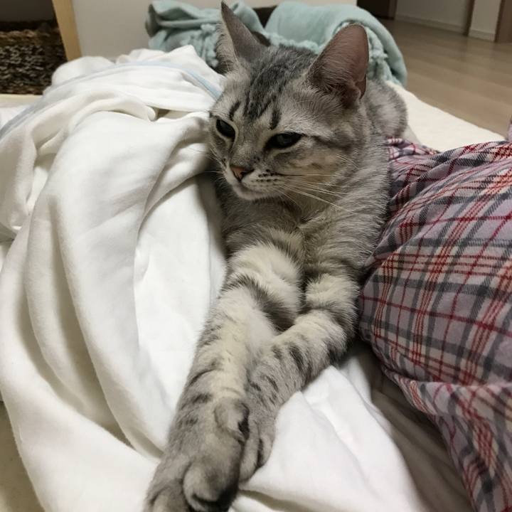 89df9d78 13ae 4716 801c 4095f4689b3f