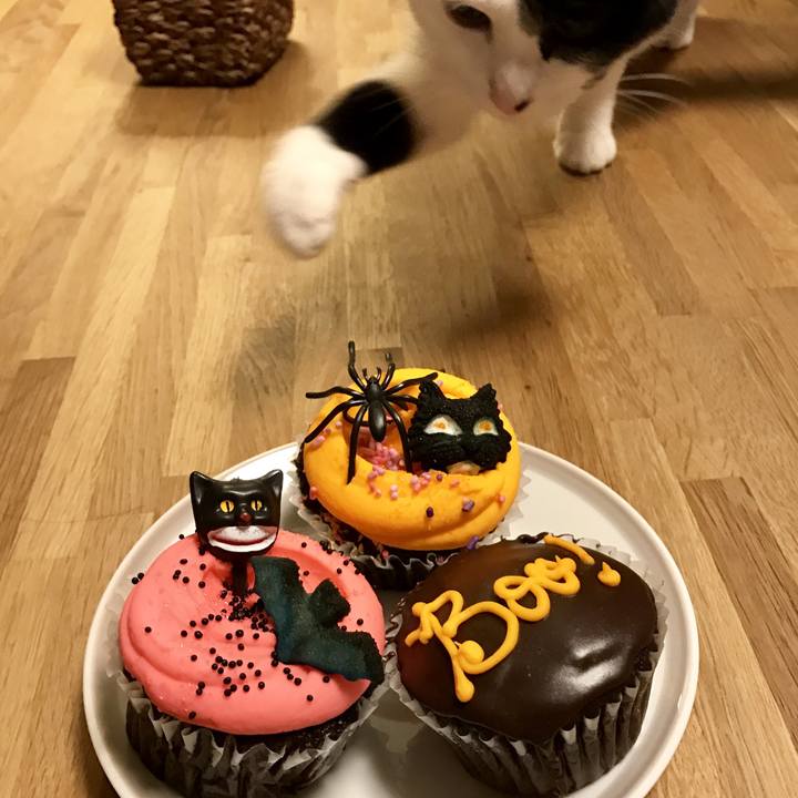 89dfb6f7 3ce4 4bd7 a63c 20f4be38a301