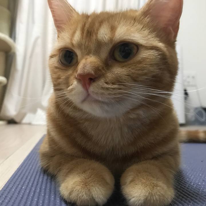 89dfd424 9abf 402b a92c d4e7fedebac6