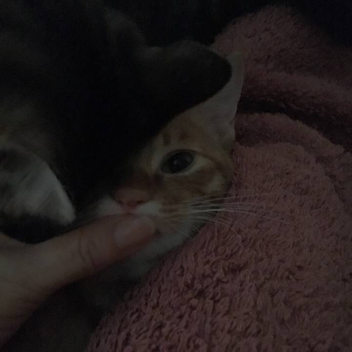 89dfda0c 745d 4fc7 98e8 b3a251eba087