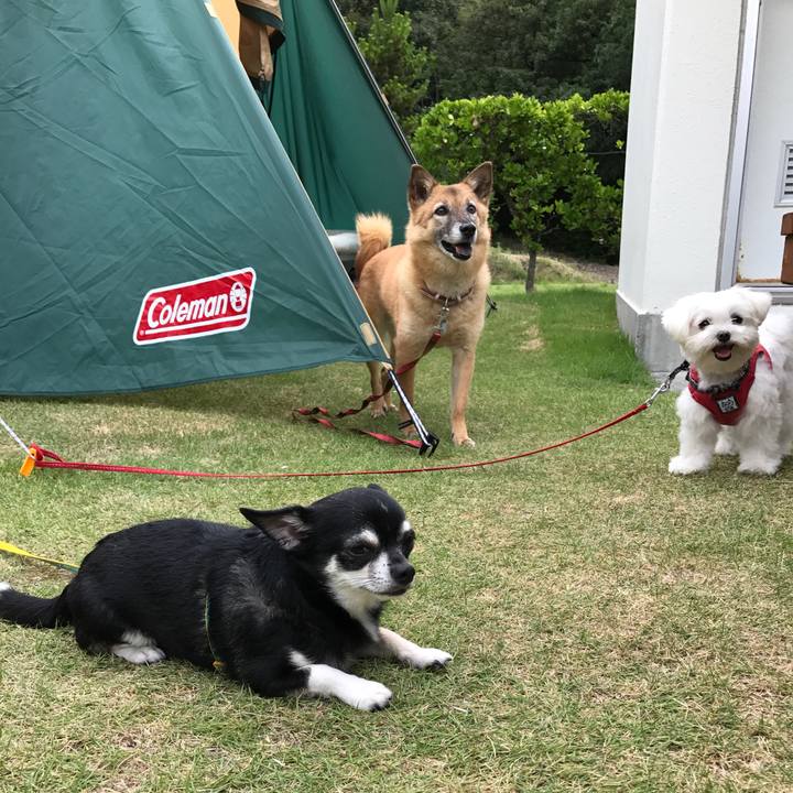 89e03f60 9d4a 4ef8 8227 64e66f154b5d