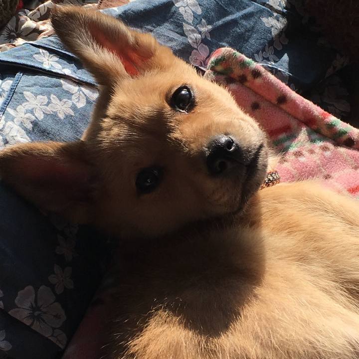 89e08cc8 1746 4602 adb0 f607226c58cf