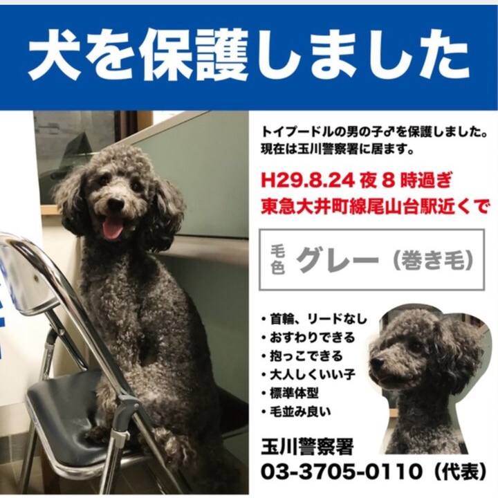 89e1b4bd 30cd 4ce8 bf9d 1dfd43647fc1