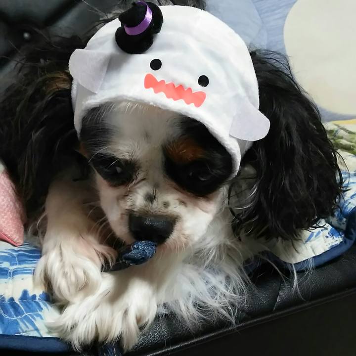 89e2a2d2 ed4d 46db 8dd0 e8a86fb858c1