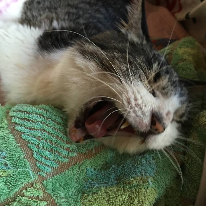 89e35597 00bd 4045 ac33 5cb75a183283