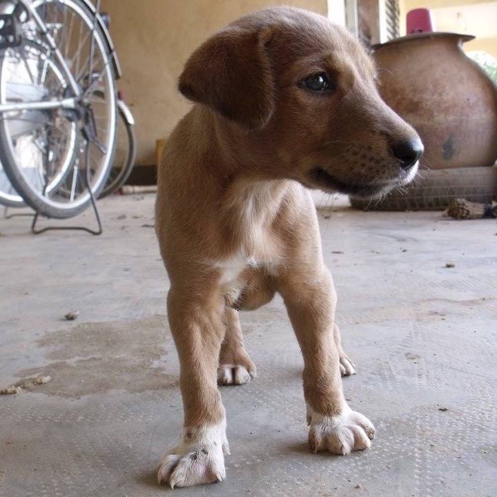 89e36a96 15e7 4220 a9d1 978fcb7643e0