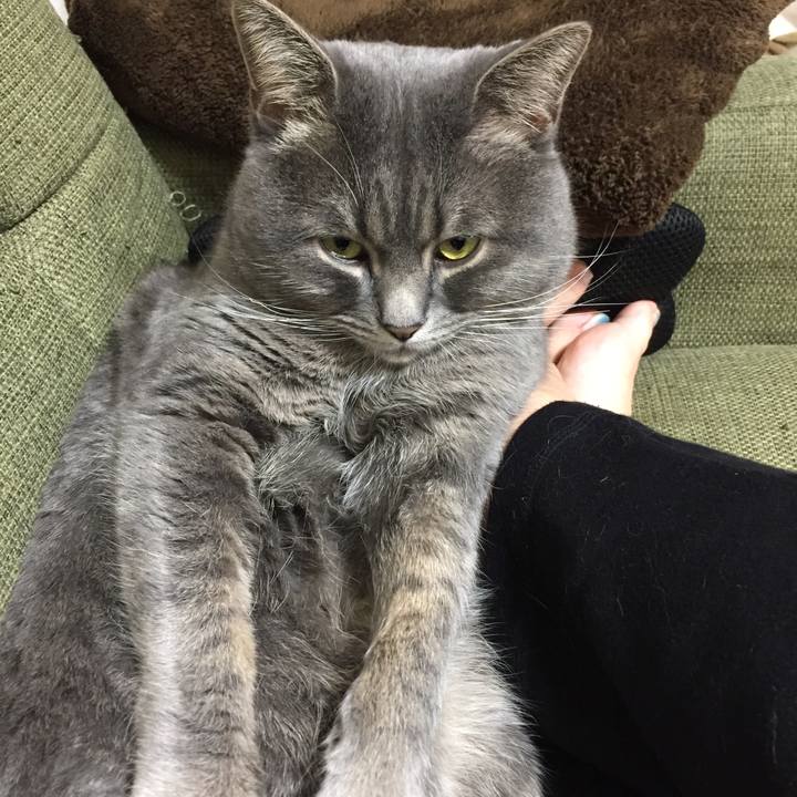 89e3c0a9 0844 4877 9cd3 62dd474b7649