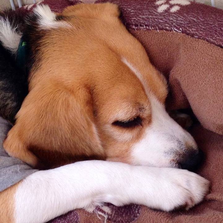 89e463c4 f012 4faf 99bc a0ded69e290a