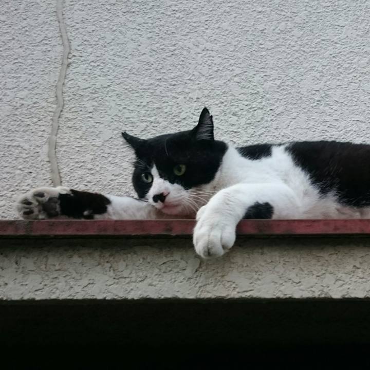 89e5630e 22b9 429f 8183 043131e78c0e