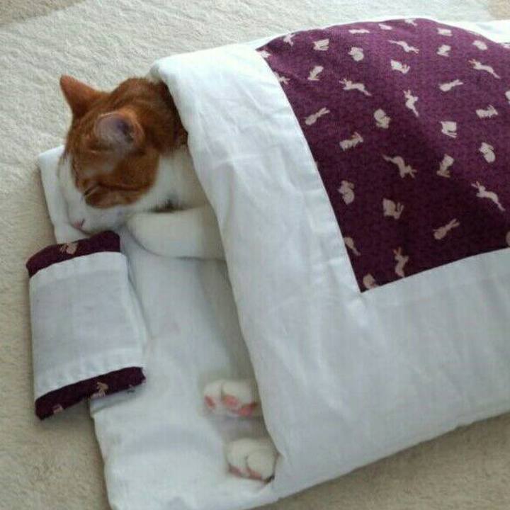 89e5f0fb b00d 4fcf b068 f4057c7a9824