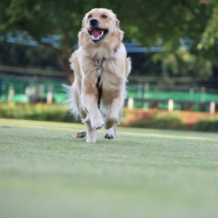 89e60dbc cb11 45d8 8764 bb492dd9afb6