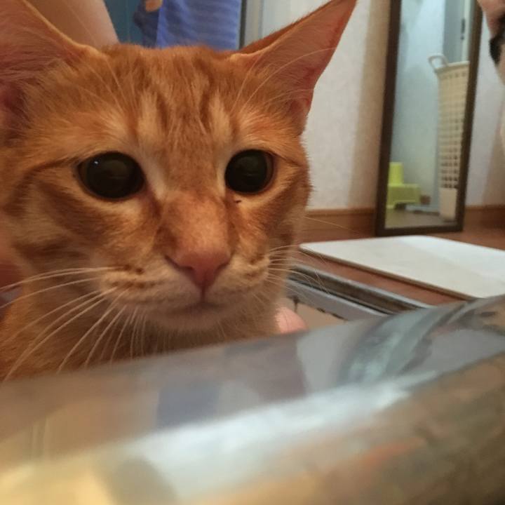 89e64380 06d2 48d4 8b42 5521dfada8de