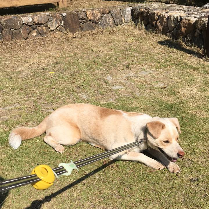 89e6a319 2097 4c12 8780 ab0fd289a619