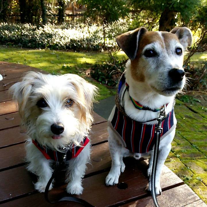 89e72bad 124e 4ab5 aeec 03e4ffbd73fc