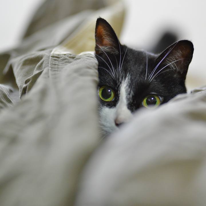 89e75989 6a58 4933 8f3a e30153379b92